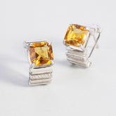 E241206014YE-白背俯